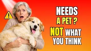 Why Every Senior Living Alone Needs A Pet (It&rsquo;s Not What You Think)