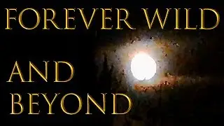 Forever Wild and Beyond