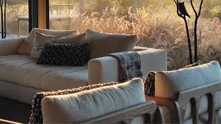 Episode 9: A Different Kind of Safari with Too Wild, Amaya Lodge