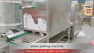 onion head and tail cutting machine with automatic onion skin peeling machine onion processing line