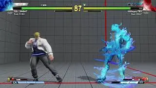 SSJ_SAGAT rage quit