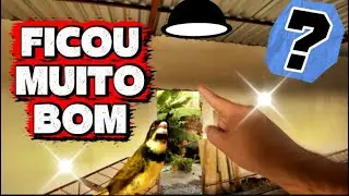 FIZ ISSO NO NOVO CT DOS PARDOS