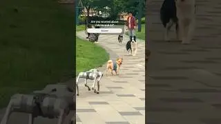 Robotic dog meets real dogs 🐕 🤖 #share #robot #dog #viral #newmusic