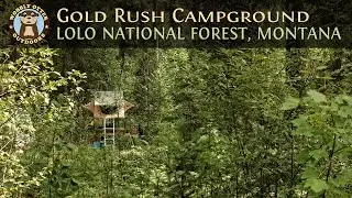 Lolo National Forest Near Thompson Falls, Montana
