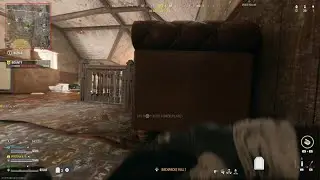 Silvz bodyguard
