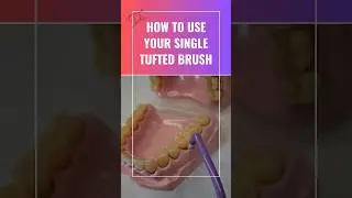 HOW TO USE AN INTERSPACE / SINGLE TUFTED BRUSH: perfect for periodontal disease! #periowithdhroov