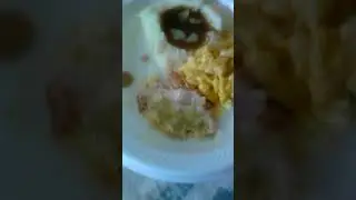 Halal Gator Meat, Mash Potatoes, Shark Meat, gravy, spicy macaroni & goat cheese Qarsherskiyan food