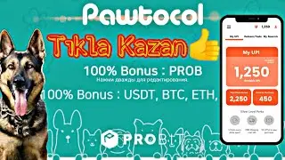 PAWTOCOL - UPI $ - SONRAKİ 100X PROJESİ BUNU KA&Ccedil;IRMAYIN!