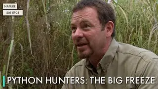 Python Hunters: The Big Freeze