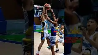 Funny Highlights Memes.#basketball #highlights #shorts #viralvideo #shortvideo #funny #funnyvideo