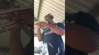 Artunian Trumpet Concerto excerpt #1 #trumpet #classicalmusic