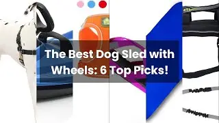 Dog sled with wheels: The Best Dog Sled with Wheels: 6 Top Picks!