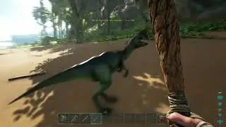 Day 4 (Ark no commentary)