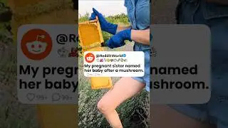 My Pregnant Sister Named Her Baby After a Mushroom 🥺💔 Reddit Stories