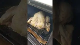 Best BBQ meet the smoker oven, cheap free, precise temperature control, with a self cleaning feature
