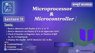 8. Assembly Language (Basic) | CMP, JL, JG, JZ Explained | Character & Number Comparison Tutorial