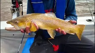 Fishing Lake Sorell 