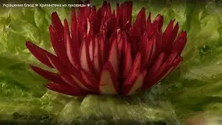 Хризантема из лука. Украшение блюд.