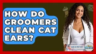 How Do Groomers Clean Cat Ears? - Ask A Pet Vet
