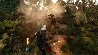 The Witcher 3 | Perfect Combat Gore Explosions No HUD Ultra Ray Tracing 60 FPS