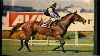 1979/1980 Season