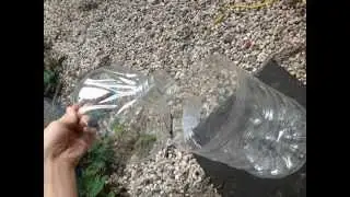 fishing in logan river water ford :: what to expect