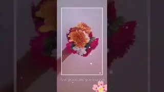 Flower photography TIPS AND TRICKS