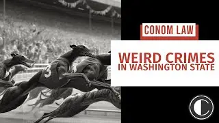 Weird Crimes in Washington | Washington State Criminal Defense Lawyer
