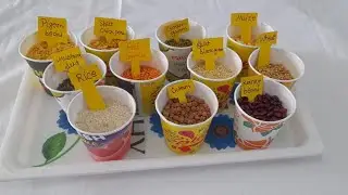 **From farm to plate 🌾&mdash; learning about the grains that keep us strong!&rdquo; ** |Millets| Healthy| |Food|
