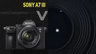 Sony A7 III vs Fujifilm X-Pro2  [Camera Battle]