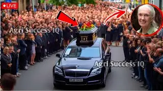 Последние похороны Джейн Гудолл 💔