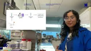 Study of bioactive compounds in medicinal mushrooms