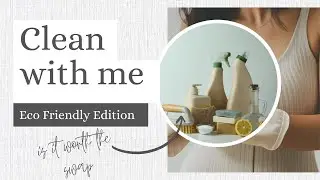 Clean With Me: повлияли ли экологичные чистящие средства?