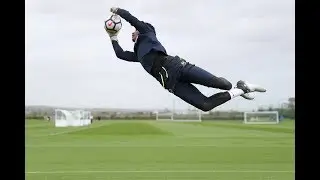 Sanchez in action