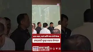NCP News : Sharad Pawar, Parth आणि Jay यांची विद्याप्रतिष्ठानमध्ये बैठक.. पुन्हा एकत्र येणार?