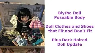 Blythe Doll Poseable Body Doll Clothes and Shoes that Fit and Don't Fit Plus Dark Haired Doll Update