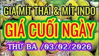 GIÁ MÍT THÁI & MÍT INDO RUỘT ĐỎ CUỐI NGÀY THỨ BA/03/02/2026| Giải Trí Miền Tây