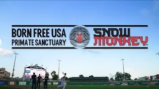 Snow Monkey&trade; Partners with Born Free USA!