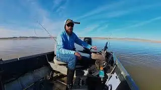 Mid December at Elephant Butte chasing Blues
