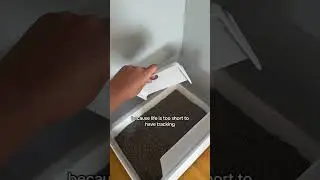 THIS Is Your Sign To Make The SWICH To Low Tracking Cat Litter