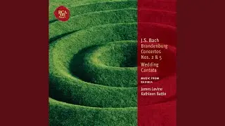 Cantata No. 202 
