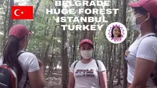 how to go there BELGRADE HUGE FOREST| hiking with me  IN ISTANBUL TURKEY | belgrad greentour