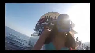 puerto vallarta spring break 2019