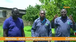 Tanzania Set For A new Trajectory of Modern Goat Farming Techniques