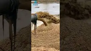Small Dredging Machine Sand Pump Dredger River Sand Dredger