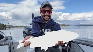 Trophy Landlocked Salmon - Lake Winnipesaukee