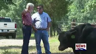 Beef Prices on the Rise