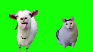 Tongue Goat and Huh Cat - Green Screen