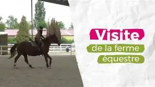 Visite de la ferme équestre