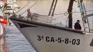 Pescadores gaditanos venden sin intermediarios